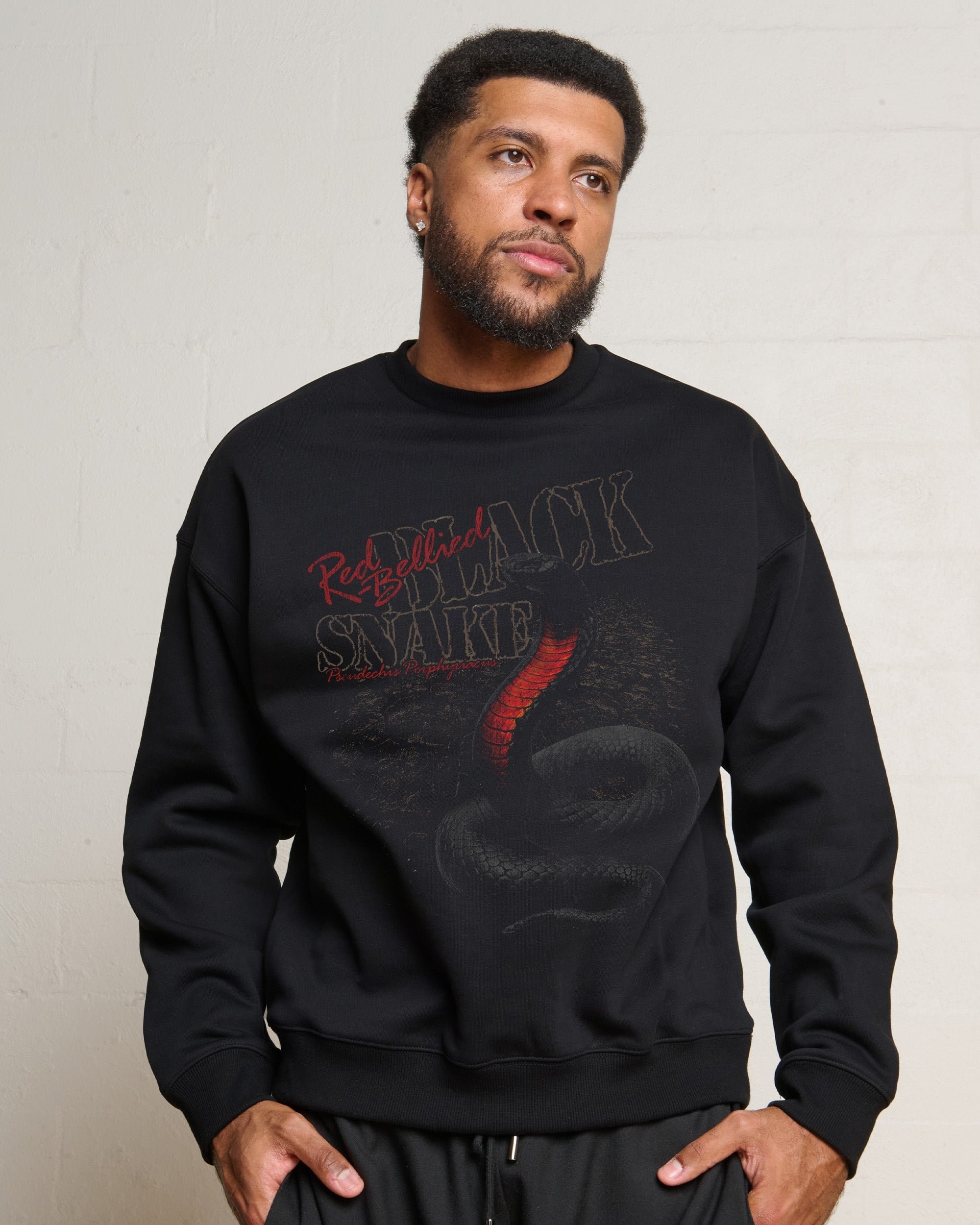 Red Bellied Black Snake Sweatshirt - Threadheads Unisex Graphic Sweatshirt